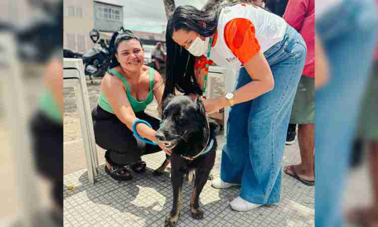 Giro Pet Ceará leva serviços gratuitos de saúde animal à Cidade 2000 neste fim de semana